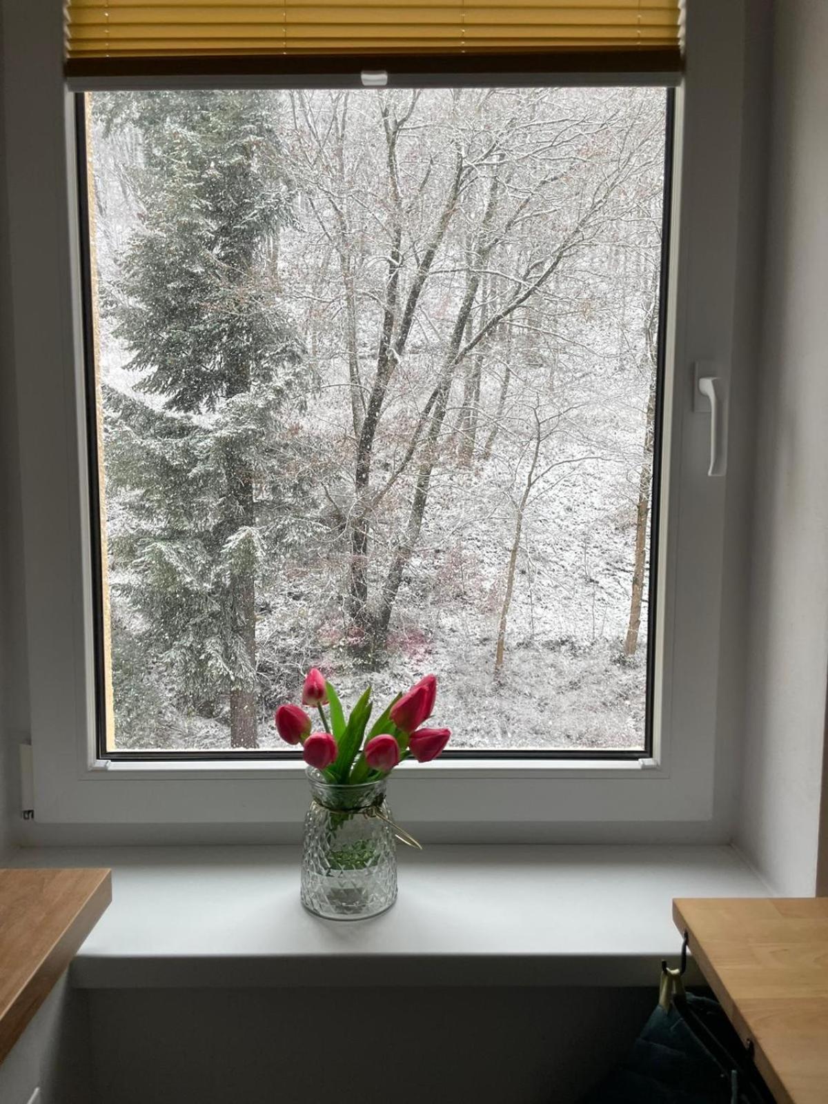 Apartman Claudia - Rezidence K Lanovce Jáchymov Eksteriør billede